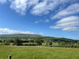 Morning view!