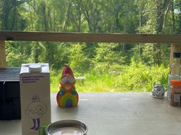 View from kitchen area