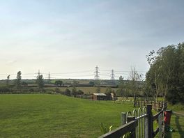 Dog walk path