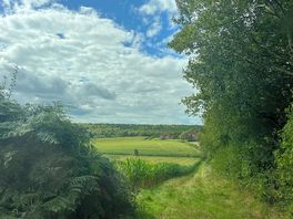 Gorgeous open fields in the area