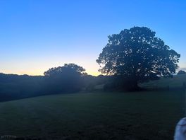 Evening skies