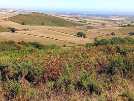 View from saint catherine's chapel abbotsbury.