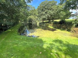 Pond