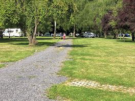 The site