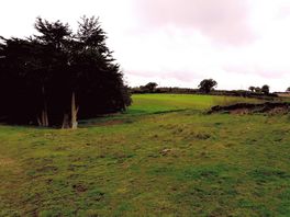 Camping field