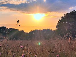 The sunset across the tall grass reminded me of a scene from gladiator
