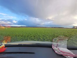 View from the windsock pitches