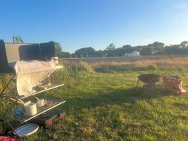 My spot was fab! offered both shade and sun! it’s next to the pigs