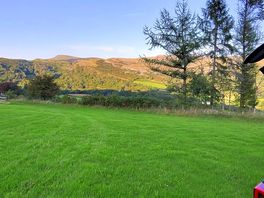 View looking out from campsite