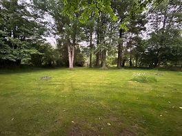 Grass area
