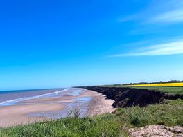 Fab local beach