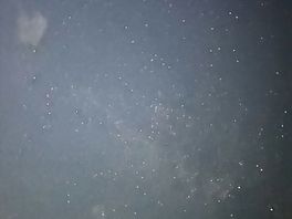 Stars