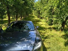 Park the car at the end of the row then camp up the row wherever you please