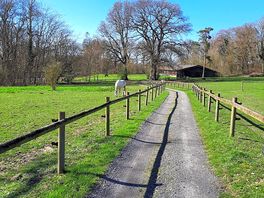 Farm