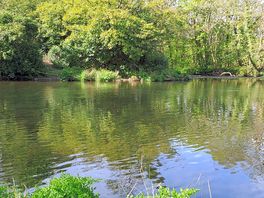 The river