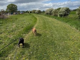 Part of the dog walking area near the river