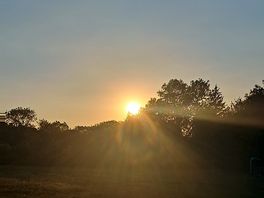 Evening sunset
