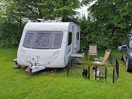 Nice short weekend with dogs.