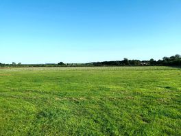 The camping field