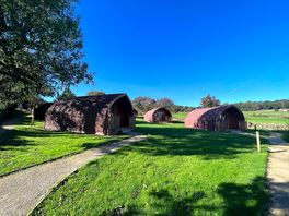 The group of pods at saints meadow