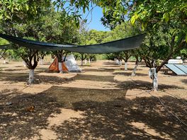 Tent pitches