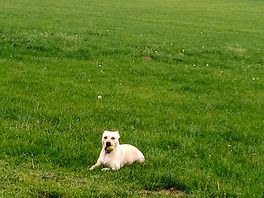 Just chillin