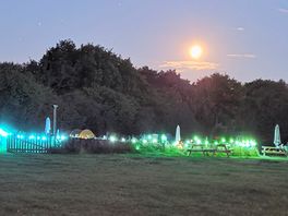 Duck pond at night