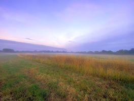 Mist in the fields
