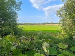 Veiw from the walk