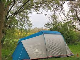 Forrest pitch tent