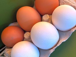 Fresh eggs from the farm