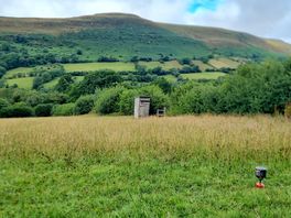 View from my tent