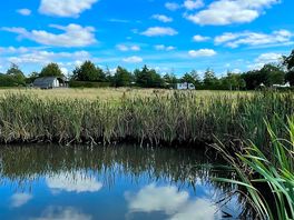 View from the lake.