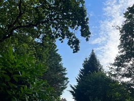 The surrounding scenery upon waking up within the pods.