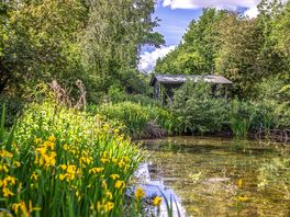 Hut by the pond