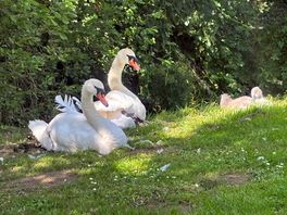 Our neighbours