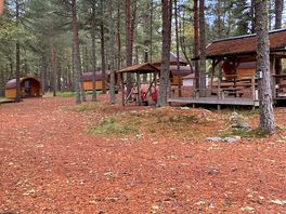 Central outdoor dining and cooking area
