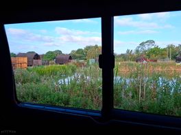 Morning view