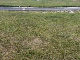 Site