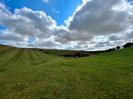Good walking paths