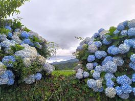 Naturaleza típica de la zona