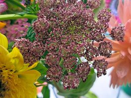 Flowers bought, fresh cut from site.