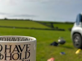 Morning view