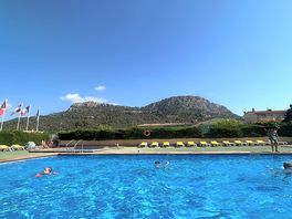 The pool