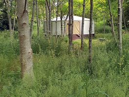 Yurt in the forest