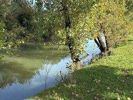 Peaceful surroundings.