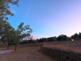 Avondzon2