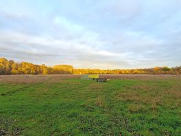 Camping field