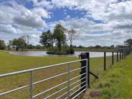 Local walk