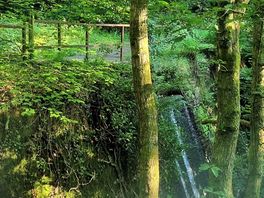 Near by waterfall and walk